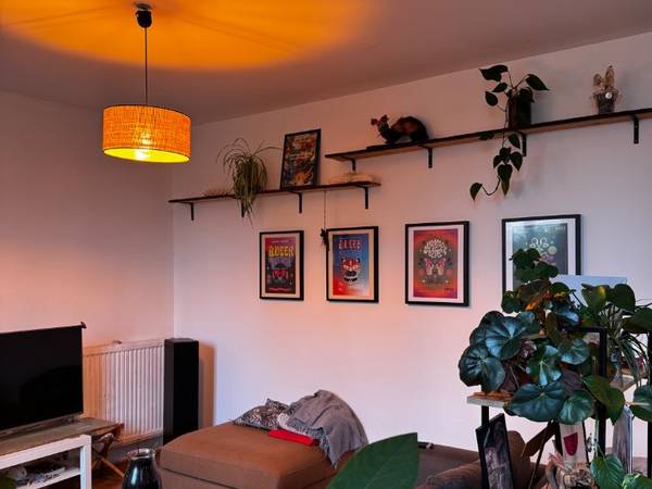 Colocation / Maison 7 pièces de 156 m², Tarbes, Chemin de la Planète / Photo 2