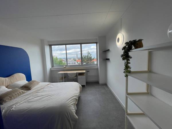 Colocation / Appartement 5 pièces de 97 m², Vandœuvre-lès-Nancy, Square de Liège / Photo 6