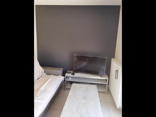 Colocation / Maison 4 pièces de 80 m², Montastruc-la-Conseillère, Avenue de Castelnau / Photo 2