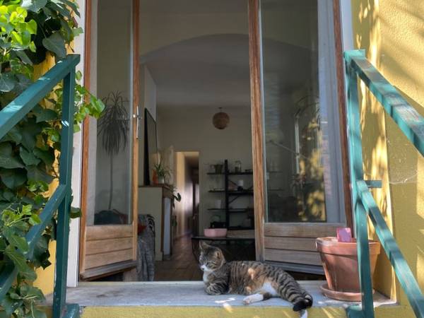 Sous-location / Appartement 3 pièces de 65 m², Toulouse, Rue Adolphe Coll / Photo 9