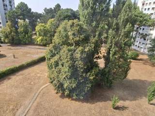 Room share / 4 rooms apartment · 70 m², Mérignac, Rue Winston Churchill