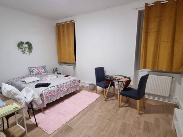 Colocation / Appartement 5 pièces de 120 m², Mulhouse, Rue de Bâle / Photo 4