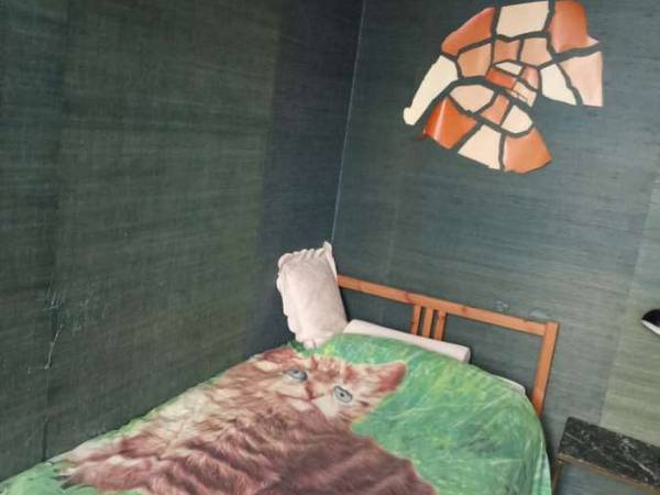 Chambre chez l'habitant / Duplex 3 pièces de 90 m², Paris, Passage Dareau / Photo 2