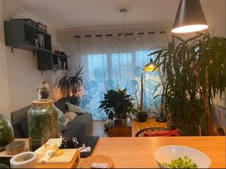 Flatsharing / 4-bedroom flat · 80 m², Toulouse, Rue Joachim Génard
