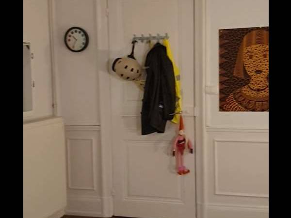 Sous-location / Appartement 7 pièces de 190 m², Mulhouse, Rue de la Sinne / Photo 9