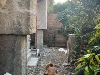 Colocation / Maison 4 pièces de 55 m², Meudon, Rue des Vignes