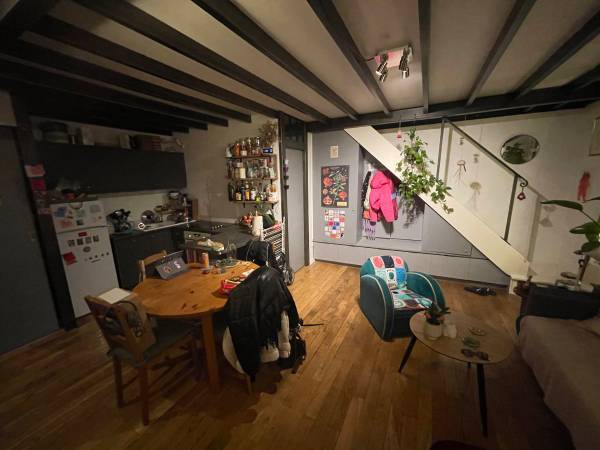 Colocation / Duplex 1 pièce de 50 m², Lyon, Rue Sébastien Gryphe / Photo 2