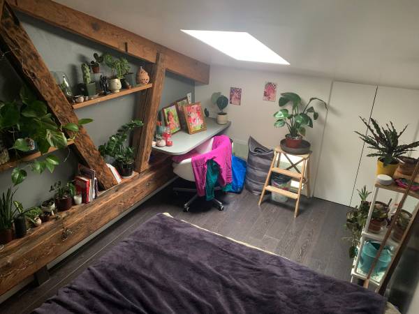 Colocation / Duplex 1 pièce de 50 m², Lyon, Rue Sébastien Gryphe / Photo 15