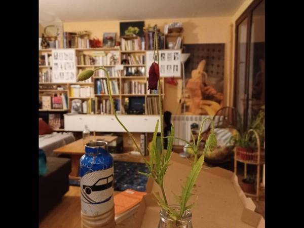 Flatsharing / 5-bedroom flat · 90 m², Toulouse, Avenue de l'Observatoire / Photo 2