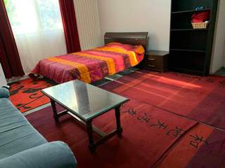 Chambre chez l'habitant / 1 room house, Ferney-Voltaire