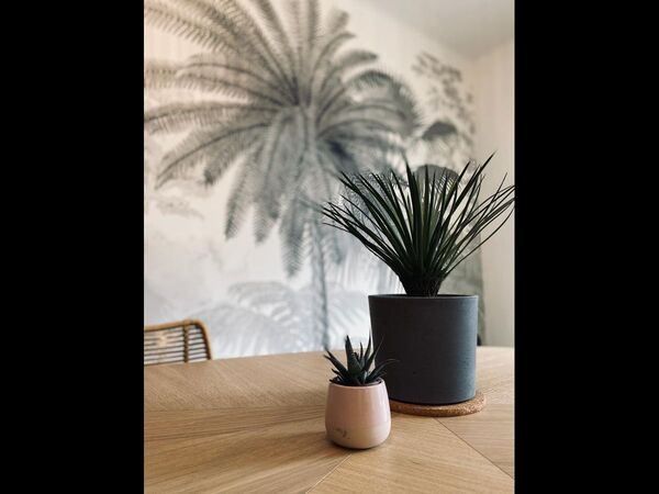 Colocation / Appartement 4 pièces de 74 m², Montpellier, Route de Lavérune / Photo 21
