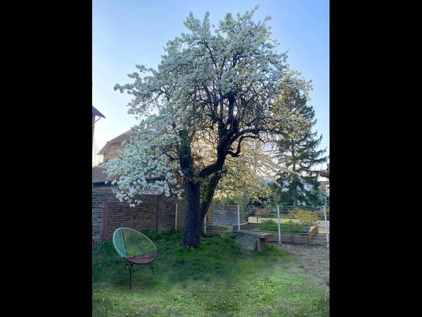 Coliving / Maison 8 pièces de 180 m², Argenteuil, Rue Ernestine / Photo 20