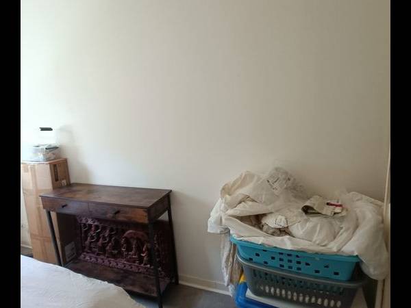 Location / Appartement, Colmar / Photo 5