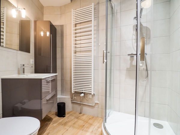 Colocation / Appartement 5 pièces de 105 m², Saint-Étienne, Rue Étienne Mimard / Photo 11