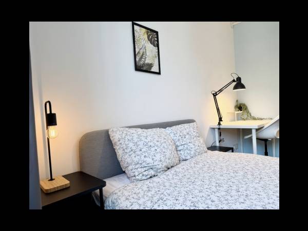 Colocation / Studio de 60 m², Grenoble, 5 Rue Henri Moissan / Photo 2