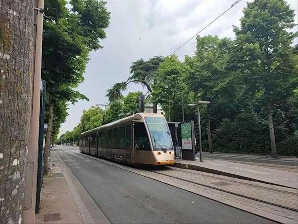 Colocation / Appartement 5 pièces de 90 m², Orléans, Allée des Marronniers / Photo 5