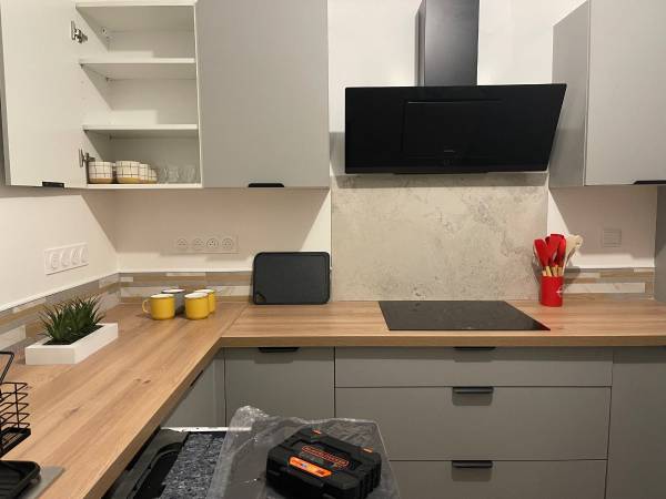 Colocation / Maison 6 pièces de 120 m², Albi, Rue Molière / Photo 2