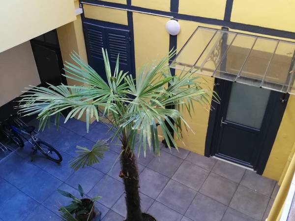 Colocation / Appartement 4 pièces de 84 m², Pau, Rue Émile Guichenné / Photo 20