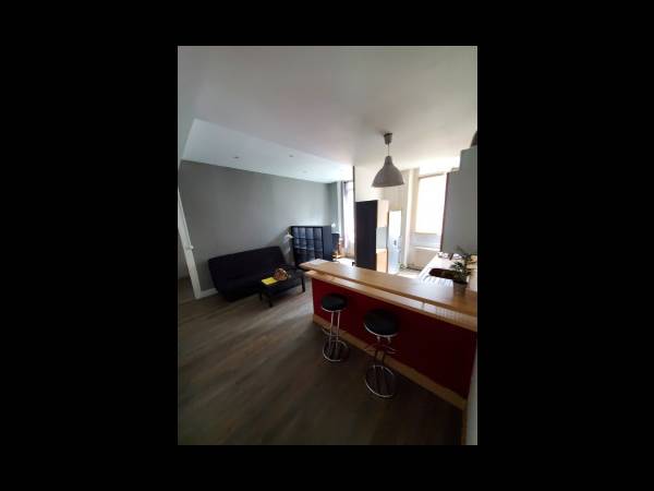 Location / Appartement 2 pièces de 42 m², Saint-Étienne, 4 Rue Etienne Boisson / Photo 7