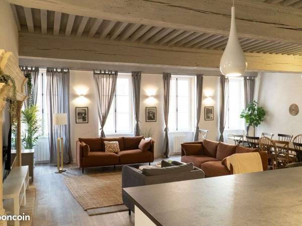 Colocation / Hôtel particulier 10 pièces de 600 m², Trévoux, Rue du Port / Photo 8