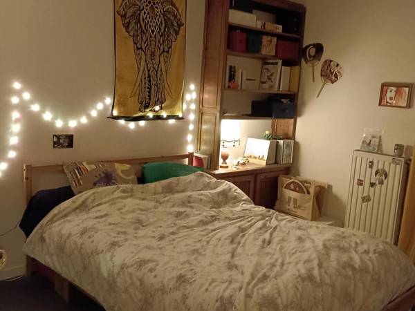 Sublet / 4-bedroom flat · 15 m², Villeurbanne, Rue Docteur Rollet / Photo 4