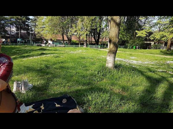 Flatsharing / 4-bedroom flat · 75 m², Grenoble, Rue Ampère / Photo 23