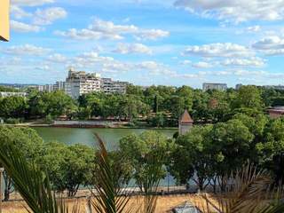 Colocation, Appartement 4 pièces, Toulouse