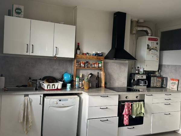 Colocation / Appartement 3 pièces de 120 m², Toulouse, Avenue Crampel / Photo 2