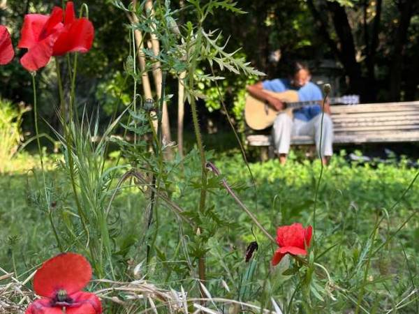 Coliving / Hôtel particulier 10 pièces de 2200 m², Avignon, Rue de l'Observance / Photo 2