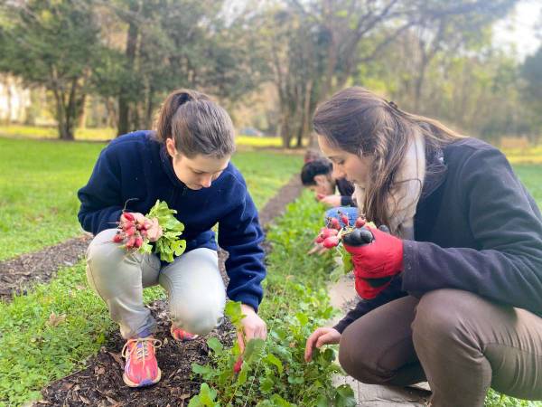 Coliving / Hôtel particulier 10 pièces de 2200 m², Avignon, Rue de l'Observance / Photo 8