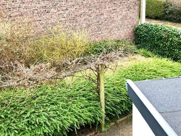 Chambre pour étudiant / Maison 5 pièces de 60 m², Beyne-Heusay, Rue de Jupille / Photo 8