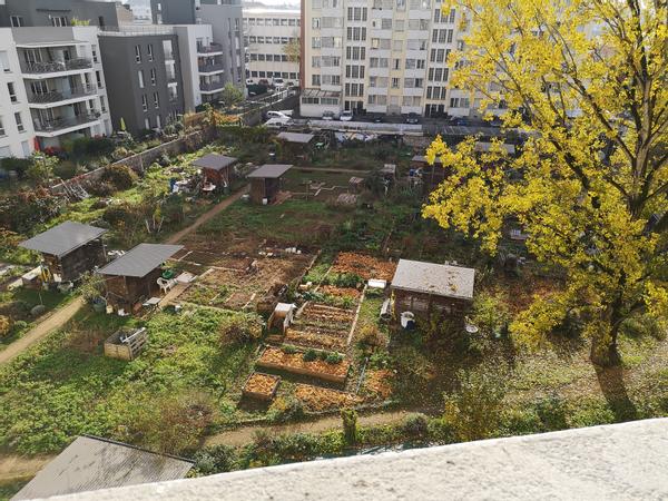 Colocation / Appartement 4 pièces de 57 m², Villeurbanne, Avenue Roger Salengro / Photo 13