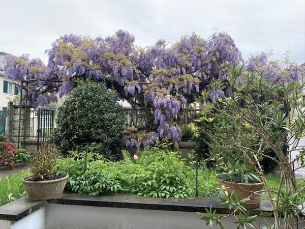 Colocation / Maison de 70 m², Antony / Photo 10