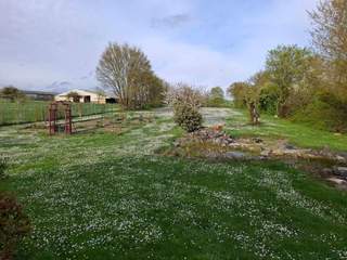 Homestay / 9-bedroom house · 200 m², Diebling