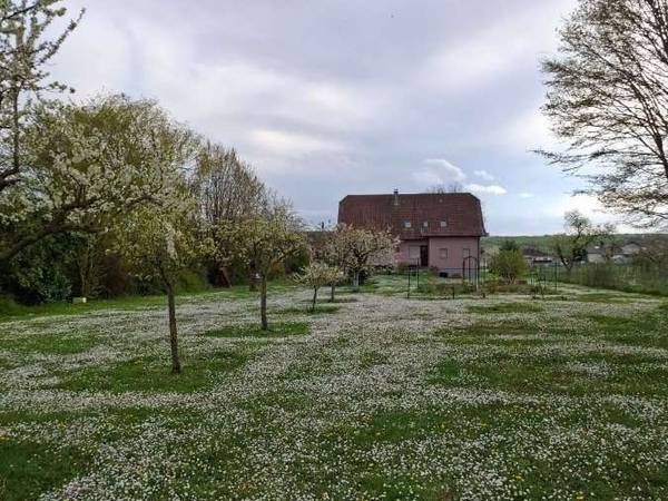 Homestay / 9-bedroom house · 200 m², Diebling / Photo 2