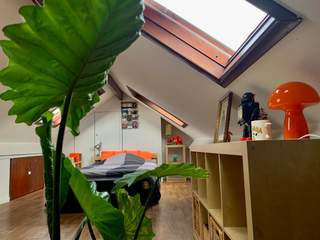 Room share / 6 rooms apartment · 100 m², Ixelles, Rue du Trône