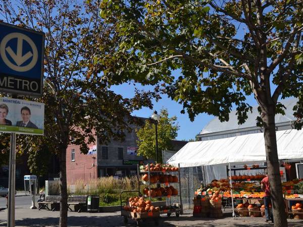 Colocation / Appartement 7 pièces de 110 m², Montréal, Rue la Fontaine / Photo 2