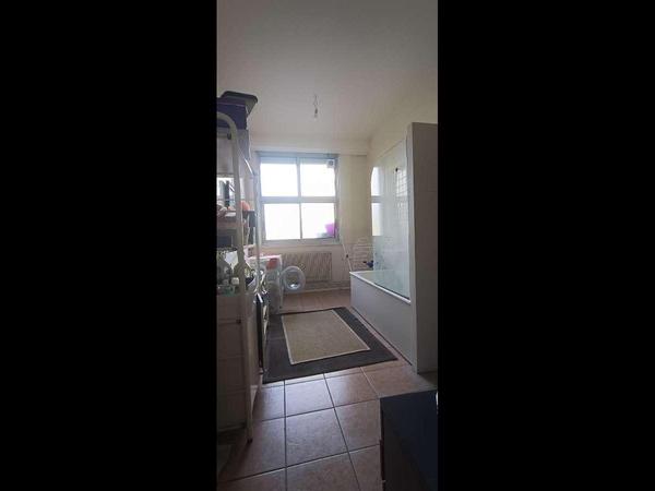 Chambre chez l'habitant / Appartement 5 pièces de 105 m², Maisons-Alfort / Photo 5