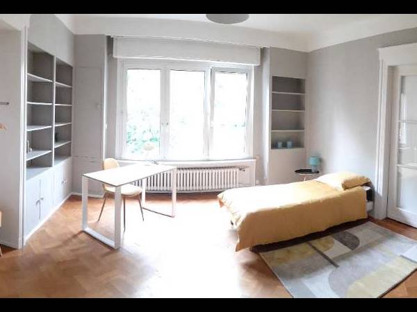 Colocation / Appartement 6 pièces de 170 m², Strasbourg, Rue Erwin / Photo 18