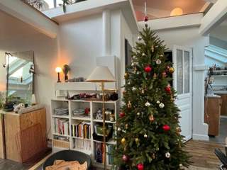 Sous-location / Duplex 1 pièce de 62 m², Paris