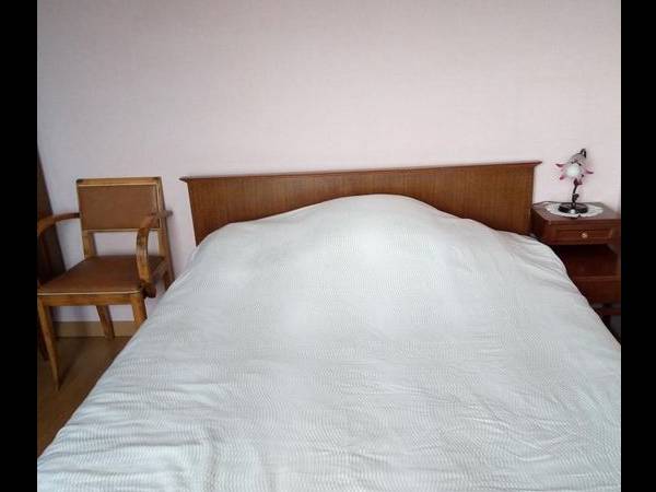 Location / Appartement, Bourges / Photo 2