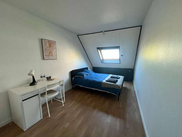 Colocation / Maison 8 pièces de 100 m², Strasbourg, Rue Montesquieu / Photo 11