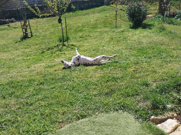 Colocation / Maison 5 pièces de 170 m², Salazac, Chemin le Pontalion / Photo 8