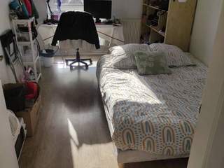 Room in a live-in landlord's home / 1 room apartment, Strasbourg