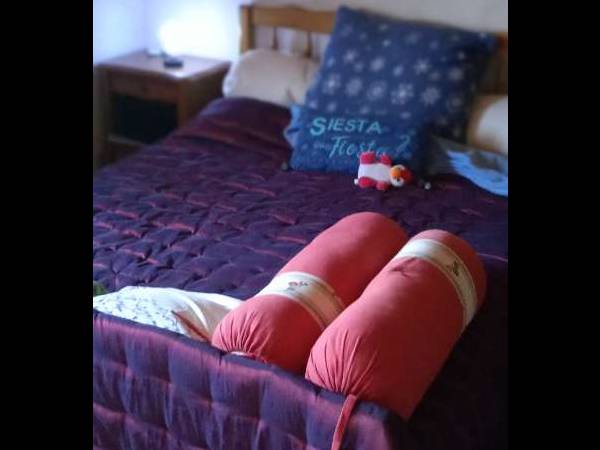 Chambre chez l'habitant / Maison 6 pièces de 150 m², Frontonas / Photo 4