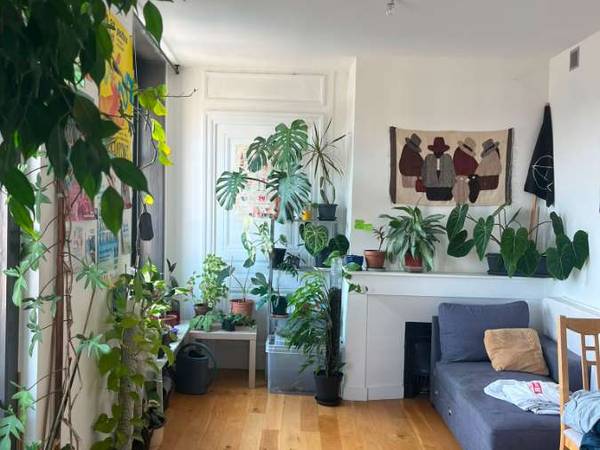 Sous-location / Appartement 5 pièces de 140 m², Lyon, Place des Terreaux / Photo 2