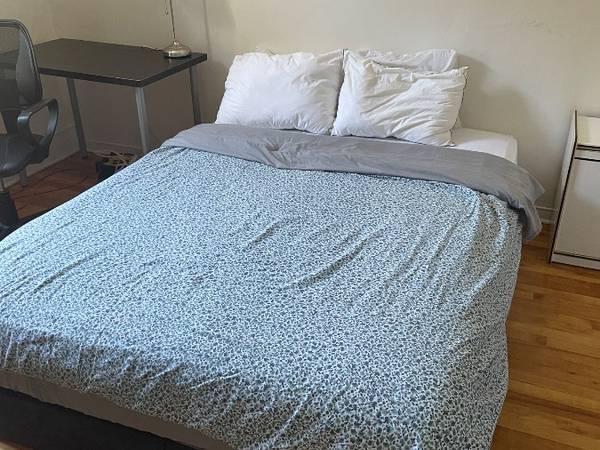 Colocation / Immeuble 6 pièces de 80 m², Montréal, Rue Marie-Anne / Photo 2