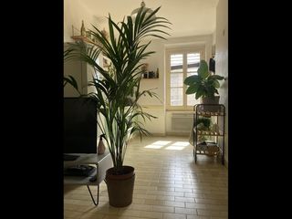 Sublet / 2-bedroom flat · 40 m², Lyon, Rue Saint Jérome