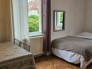 Colocation, Maison 5 pièces, Strasbourg