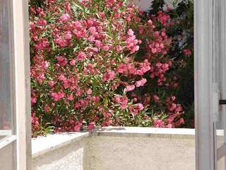 Room share / 2 rooms apartment · 51 m², Nice, Rue Vernier